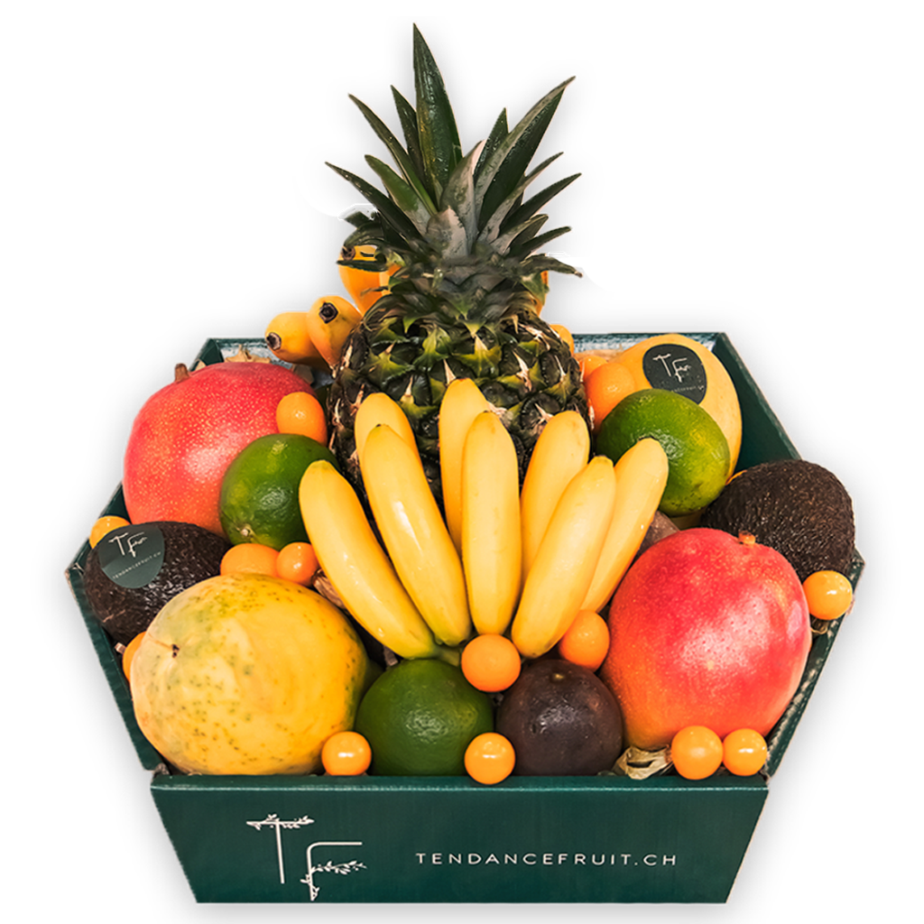 panier-grand-exotique-face-tendance-fruit-1024x1024-1.png photo produit panier grand exotique