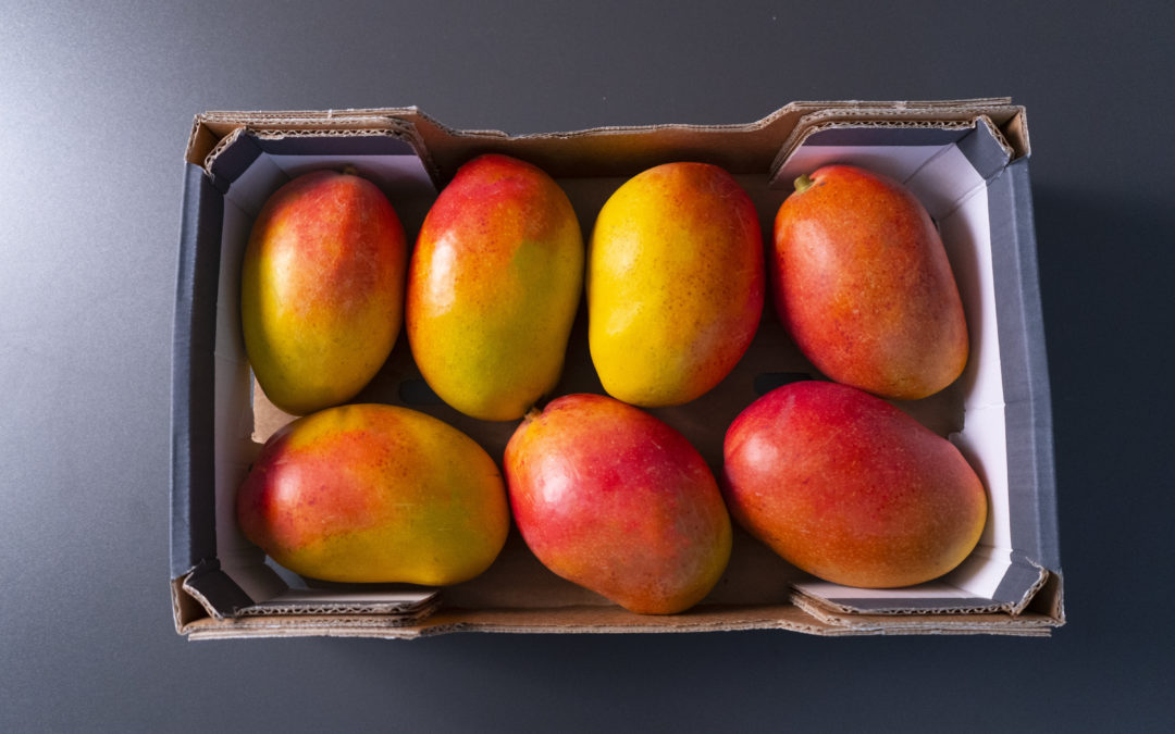 Les mangues exotiques: un délice tropical à découvrir sur TendanceFruit.ch